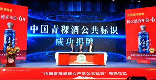 相聚第七屆青稞酒文化旅游展示活動 在彩虹故鄉(xiāng)感受青藏魅力與技術服務